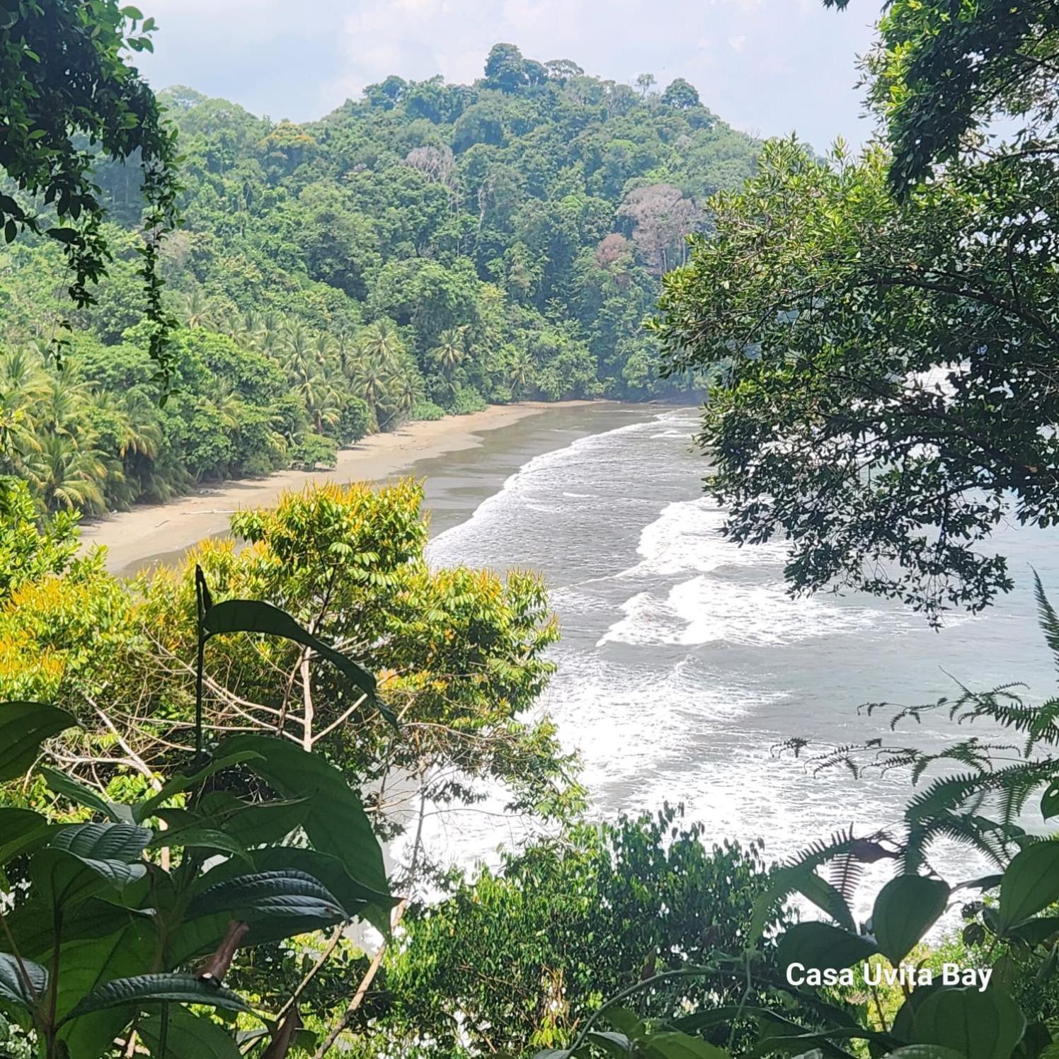 Casa Uvita Bay エクステリア 写真